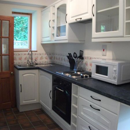 Bryn Cottage Llandderfel Esterno foto