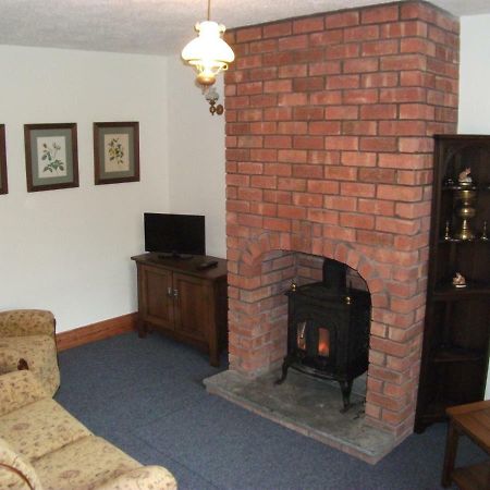 Bryn Cottage Llandderfel Esterno foto