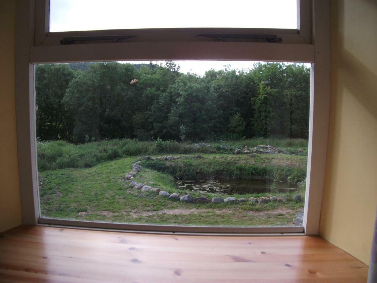 Bryn Cottage Llandderfel Esterno foto